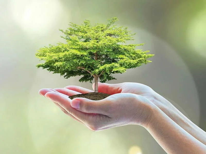 Cửa lò được sử dụng trong quá trình ngâm và sấy khô cuộn bộ biến áp trong sản xuất của ngành công nghiệp biến áp 0